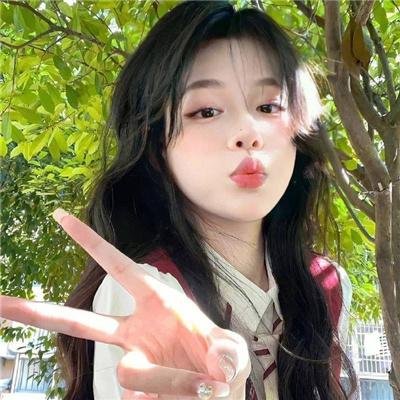 犯罪生涯